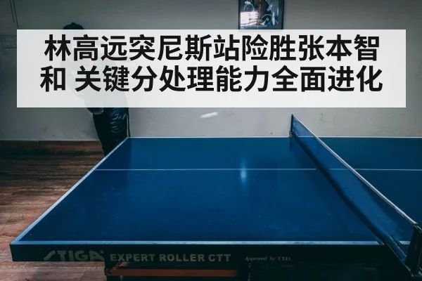 林高远突尼斯站险胜张本智和 关键分处理能力全面进化
